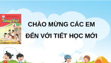 Giáo án Powerpoint Nói và nghe: Kể chuyện: Cây hoa hồng bạch Tiếng việt lớp 4 Cánh diều