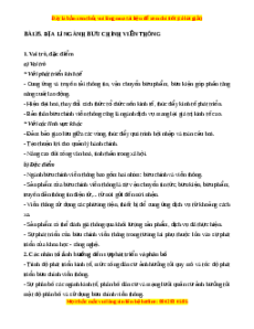 Lý thuyết Bài 35 Địa lý 10 Chân trời sáng tạo: Địa lí ngành bưu chính viễn thông