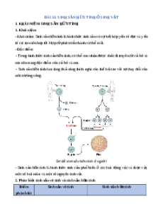 Lý thuyết Sinh sản hữu tính ở sinh vật KHTN 7 Cánh diều