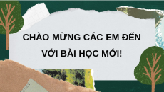 Giáo án Powerpoint Bài 24: Một số công nghệ cao trong trồng trọt lớp 10 Kết nối tri thức