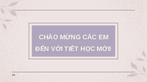 Giáo án Powerpoint Bài 23 KTPL 10 Kết nối tri thức: Hội đồng nhân dân và Uỷ ban nhân dân