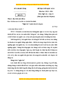 Đề thi cuối kì 2 Ngữ văn 11 Kết nối tri thức (Đề 2)