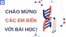 Giáo án Powerpoint Bài 7: Cấu trúc và chức năng của nhiễm sắc thể Sinh học 12 Kết nối tri thức