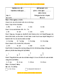 Đề thi cuối kì 1 Toán lớp 3 Kết nối tri thức - Đề 20