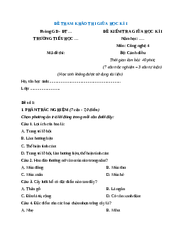 Đề thi giữa kì 1 Công nghệ lớp 4 Cánh diều (Đề 2)