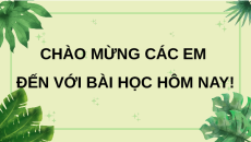 Giáo án Powerpoint Bài 15: Tổng hợp các chất và tích lũy năng lượng Sinh học 10 Chân trời sáng tạo
