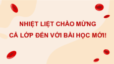 Giáo án Powerpoint Hệ tuần hoàn ở động vật Sinh học 11 Cánh diều