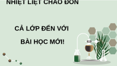 Giáo án Powerpoint Ôn tập Chương 5 Sinh học 12 Chân trời sáng tạo