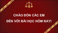 Giáo án Powerpoint Bài 16: Một số nguyên tắc cơ bản của Tổ chức Thương mại Thế giới và hợp đồng thương mại quốc tế  KTPL 12 Chân trời sáng tạo