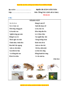 Bài tập cuối tuần Tiếng việt lớp 1 Tuần 34 Kết nối tri thức (có lời giải)