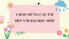 Bài giảng Powerpoint Tin học lớp 3 Kết nối tri thức