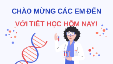 Giáo án Powerpoint Bài 33: Gene là trung tâm của di truyền học KHTN 9 Cánh diều