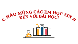 Giáo án Powerpoint Bài 15: Tính chất chung của kim loại KHTN 9 Cánh diều