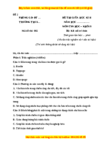 Đề thi giữa kì 2 Tin học 8 Kết nối tri thức - Đề 2