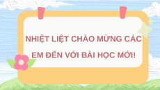 Giáo án Powerpoint Bài 9 Khoa học lớp 5 Cánh diều: Sự lớn lên và phát triển của thực vật có hoa