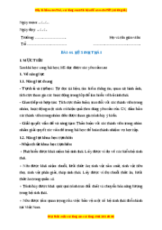 Giáo án Hệ sinh thái Sinh học 8 Kết nối tri thức