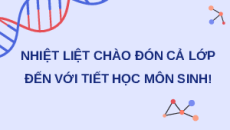 Giáo án Powerpoint Bài 8: Các quy luật di truyền của Morgan và di truyền giới tính Sinh học 12 Chân trời sáng tạo