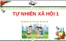 Giáo án Powerpoint Bài 2: Ngôi nhà của em Tự nhiên xã hội lớp 1 Cánh diều