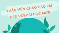 Giáo án Powerpoint Nhân tố ảnh hưởng đến trao đổi nước và khoáng ở thực vật Sinh học 11 Cánh diều