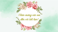 Giáo án Powerpoint Độc Tiểu Thanh kí Ngữ văn 11 Kết nối tri thức