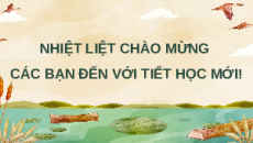 Giáo án Powerpoint Bài 19 Địa lí 12 Chân trời sáng tạo: Thực hành