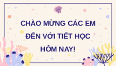 Bài giảng Powerpoint Bài 3: Biển, đảo Việt Nam