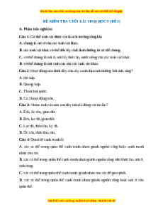 Đề thi cuối kì 2 Sinh học 9 (Đề 1)