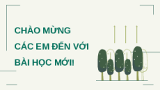 Giáo án Powerpoint chuyên đề Bài 1: Mở đầu Công nghệ Lâm nghiệp thủy sản 12 Kết nối tri thức