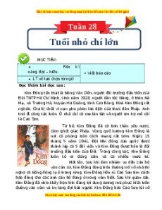 Bài tập cuối tuần Tiếng Việt 4 Tuần 28 Cánh diều (có lời giải)