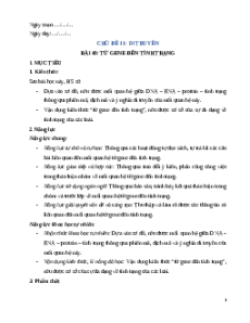 Giáo án Bài 40 KHTN 9 Chân trời sáng tạo (2024): Từ gene đến tính trạng
