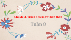 Bài giảng Powerpoint Chủ đề 3: Trách nhiệm với bản thân