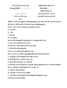 Đề thi giữa kì 1 Tin học 12 Kết nối tri thức 2024 (Đề 3)