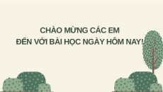 Giáo án Powerpoint Bài 18 Lịch sử 6 Chân trời sáng tạo: Các cuộc đấu tranh giành độc lập dân tộc trước thế kỉ X