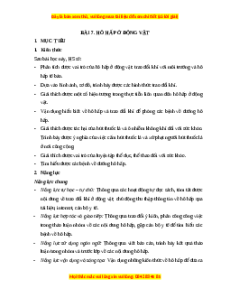 Giáo án Hô hấp ở động vật Sinh học 11 Cánh diều