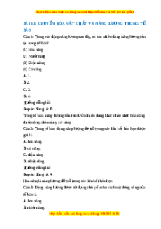 Trắc nghiệm Sinh học 10 Bài 13 Chân trời sáng tạo: Chuyển hóa vật chất và năng lượng trong tế bào