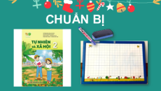 Giáo án Powerpoint Bài 15 Tự nhiên xã hội lớp 2 Kết nối tri thức: Ôn tập chủ đề cộng đồng địa phương