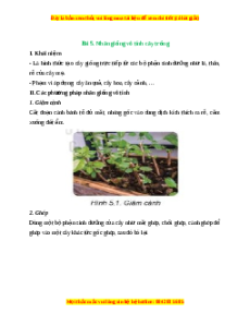 Lý thuyết Bài 5: Nhân giống vô tính cây trồng
