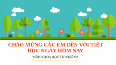 Giáo án Powerpoint Dòng điện, nguồn điện Vật lí - KHTN 8 Kết nối tri thức