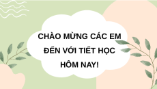Giáo án Powerpoint Bài 12: Một số phương pháp chọn, tạo giống cây trồng 10 Kết nối tri thức