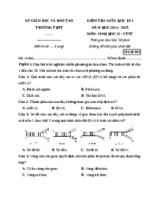 Bộ 3 đề thi giữa kì 1 Sinh học 12 Chân trời sáng tạo có đáp án