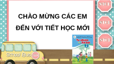 Giáo án Powerpoint Chủ đề 5 Tự nhiên xã hội lớp 2 Cánh diều: Ôn tập và đánh giá - Chủ đề cơ quan vận động