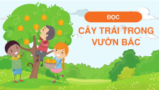 Giáo án Powerpoint Bài 8: Cây trái trong vườn Bác Tiếng việt lớp 4 Chân trời sáng tạo