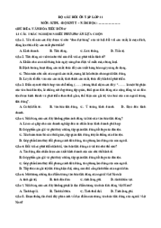 Câu hỏi ôn tập + Đề kiểm tra KTPL 11 Chủ đề 6 (chung cho ba sách)