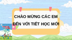 Giáo án Powerpoint Chủ đề 3 Bài 8 Tự nhiên xã hội lớp 2 Cánh diều: Đường và phương tiện giao thông