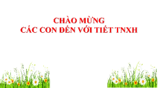 Giáo án Powerpoint Bài 8 Tự nhiên xã hội lớp 2 Chân trời sáng tạo: An toàn và giữ vệ sinh khi tham gia các hoạt động ở trường