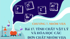 Giáo án powerpoint Tính chất vật lí và hóa học các đơn chất nhóm VIIA Hóa học 10 Chân trời sáng tạo