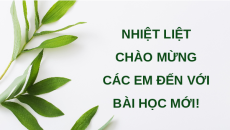 Giáo án Powerpoint Bài 16 Sinh học 11 Chân trời sáng tạo: Thực hành: Cảm ứng ở thực vật