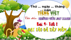 Giáo án Powerpoint Đọc: Cây táo đã nảy mầm (trang 123, 124) Tiếng việt lớp 4 Chân trời sáng tạo