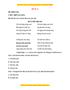 Đề thi cuối kì 1 Ngữ Văn 7 Cánh diều (Đề 12)