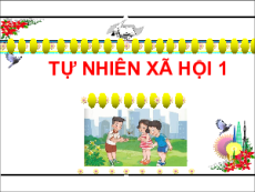 Giáo án Powerpoint Ôn tập chủ đề 2 Tự nhiên xã hội lớp 1 Cánh diều